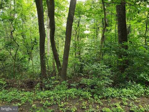 LOTS 1-2 BLACKBIRD WAY, FRONT ROYAL, VA 22630