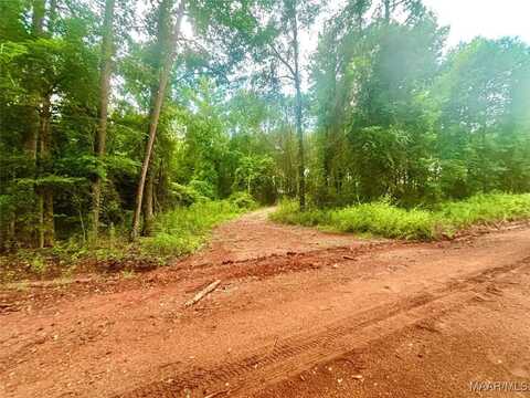 101 Tyson Lane, Greenville, AL 36037
