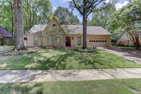 736 TEALWOOD, Cordova, TN 38018