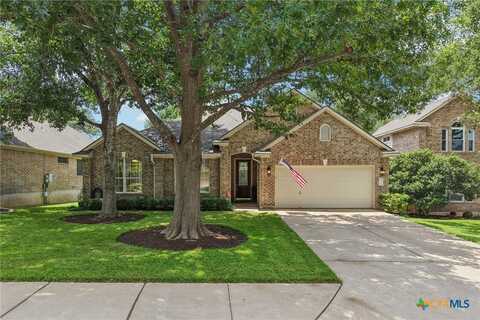 16832 Squaw Valley Lane, Austin, TX 78717