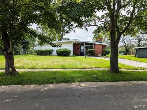 8408 Buckthorn Drive, Berkeley, MO 63134