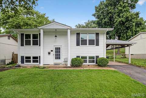 5328 Ville Rosa Lane, Hazelwood, MO 63042