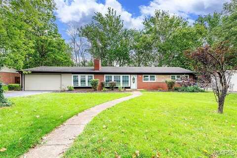 810 Louwen Drive, La Due, MO 63124