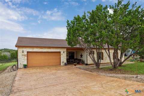 1524 Log Cabin Lane, Fischer, TX 78623