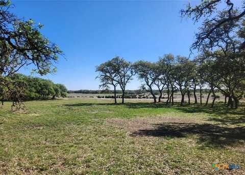 169 Oryx Lane, Lampasas, TX 76550