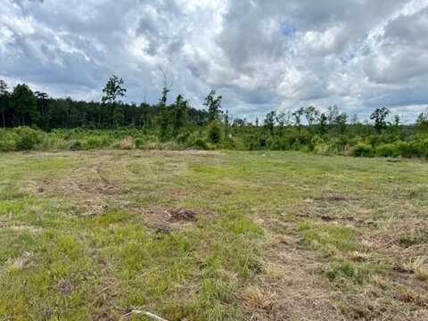 00 Dewitt Lane, Other, LA 70427