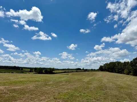 0000 Dewitt Lane, Other, LA 70427