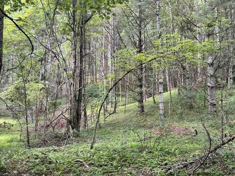 Tbd Fishers Dr., Mouth of Wilson, VA 24363