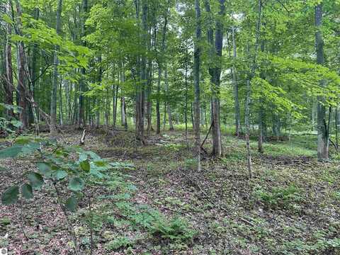 11629 S Tower, Maple City, MI 49664