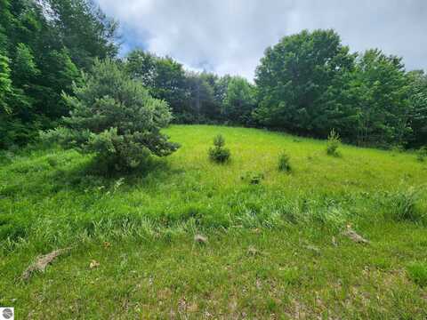 0000 Deer Ridge Trail, Beulah, MI 49617