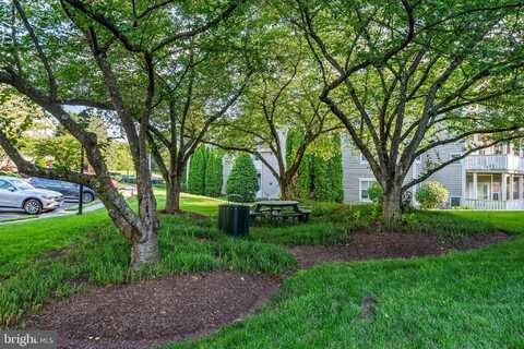 14301 GRAPE HOLLY GROVE, CENTREVILLE, VA 20121