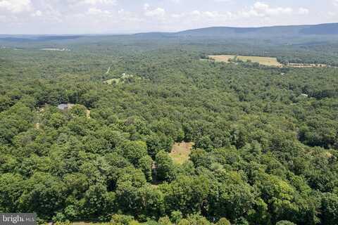 315 BRILL ROAD, STAR TANNERY, VA 22654