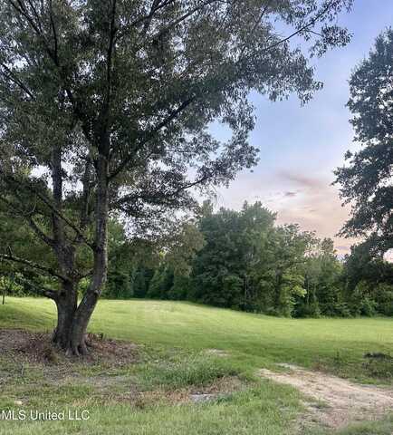 357 Robinson Springs Road, Flora, MS 39071