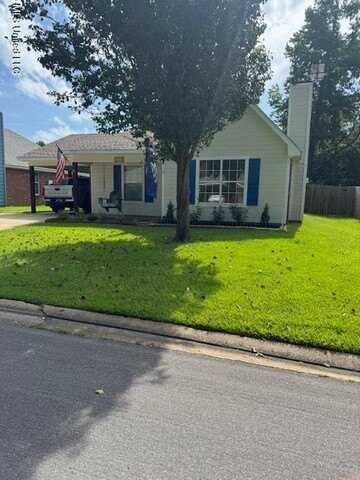 330 Audubon Circle, Brandon, MS 39047