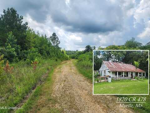 1820 County Road 478, Myrtle, MS 38650