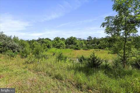 00 MESSICK ROAD, STRASBURG, VA 22657
