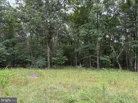 9.31 AC PINE TREE DRIVE, BLOOMERY, WV 26817