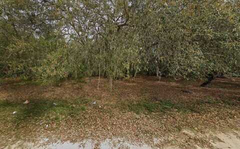 108 PALMER DRIVE, INTERLACHEN, FL 32148
