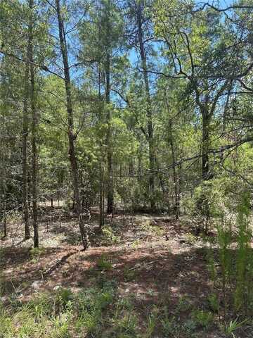121 PEAR STREET, WELAKA, FL 32193