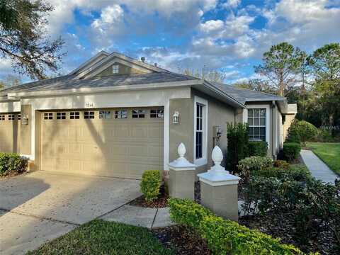 5728 HERONPARK PLACE, LITHIA, FL 33547