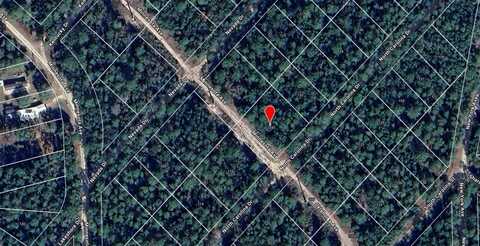 118 N CAROLINA DRIVE, SATSUMA, FL 32189