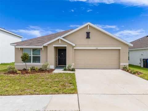 802 ACE OUTLAW AVENUE, RUSKIN, FL 33570