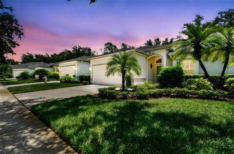 19025 CALLAWAY COURT, TAMPA, FL 33647