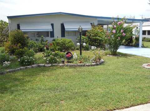 919 WEEPING WILLOW AVENUE, LADY LAKE, FL 32159