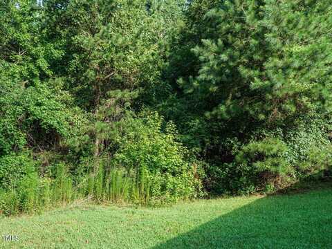 Tbd St Luke Church Road, Goldston, NC 27252