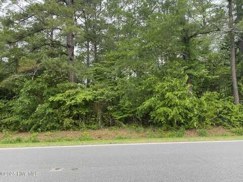 0 Sr 1124 Road, Chocowinity, NC 27817