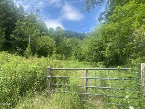 638 Old Hwy 143, Roan Mountain, TN 37687