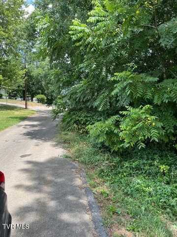 Iris E Street, Mosheim, TN 37818
