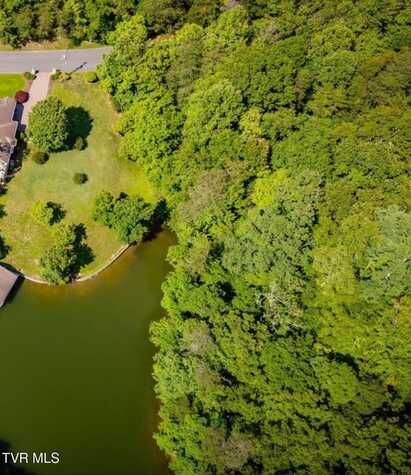 104 Pointe Drive, Piney Flats, TN 37686