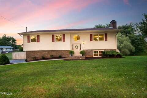 110 Wellington Court, Gray, TN 37615