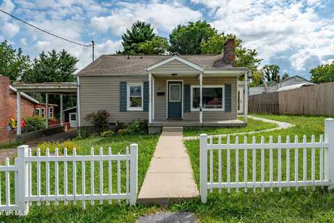 13 Coffey Street Street, Bristol, TN 37620