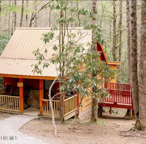 154 State Highway 143, Roan Mountain, TN 37687