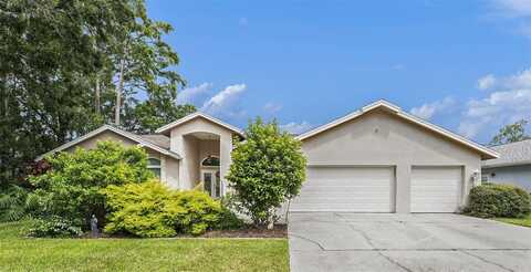 3125 EDGEMOOR DRIVE, PALM HARBOR, FL 34685