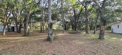 25150 SE 172ND STREET, UMATILLA, FL 32784