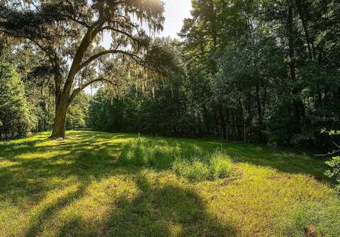 NW 218TH LANE, ALACHUA, FL 32615