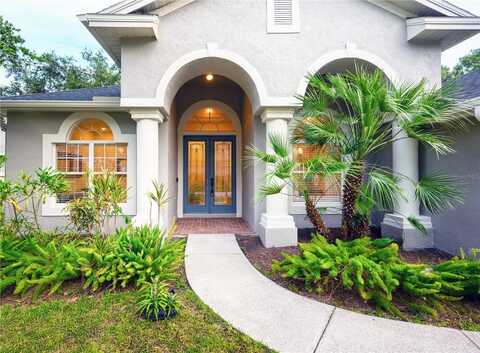 10346 ABBOTSFORD DRIVE, TAMPA, FL 33626