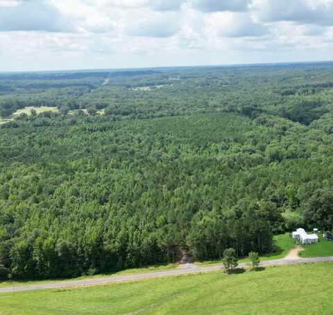 00 CO RD 54, PARCEL #2, Haleyville, AL 35565
