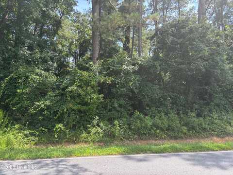 6463 Speights Bridge Road, Stantonsburg, NC 27883