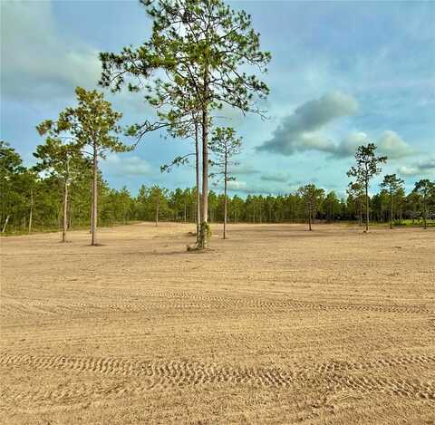 Tbd SE 60TH STREET, MORRISTON, FL 32668