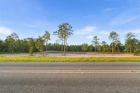 Tbd SE 60TH STREET, MORRISTON, FL 32668