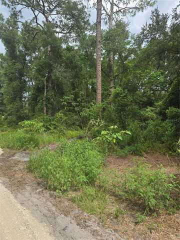 1650 SE 178TH LANE, SUMMERFIELD, FL 34491