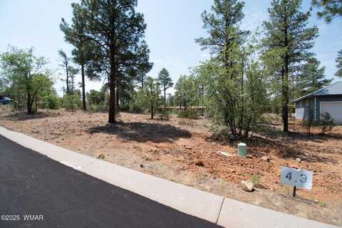 381 E Huckleberry Lane, Show Low, AZ 85901