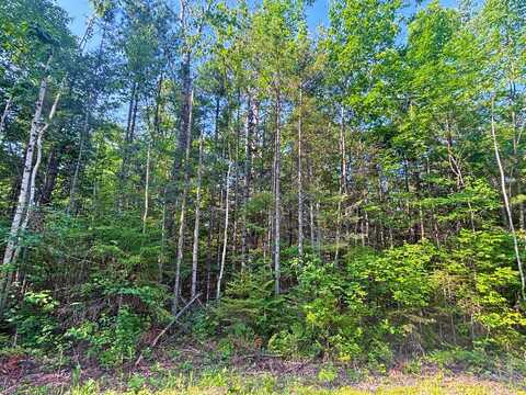 342 & 343 Northland Heights Drive, Presque Isle, MI 49777