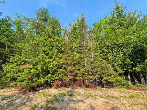 395 & 396 Balsam Drive, Presque Isle, MI 49777