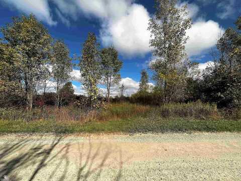 12274 Griffin, Riley, MI 48041