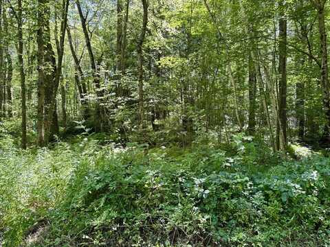 Lot 2 Greenville Street, Spencer, MA 01562